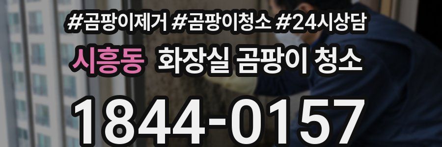 시흥동 화장실 곰팡이 청소