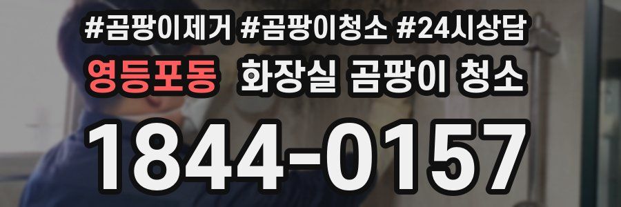 영등포동 화장실 곰팡이 청소