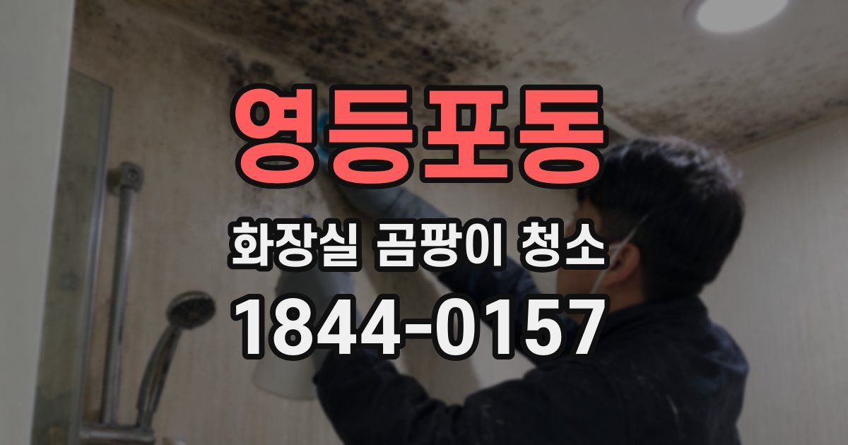 영등포동 화장실 곰팡이 청소