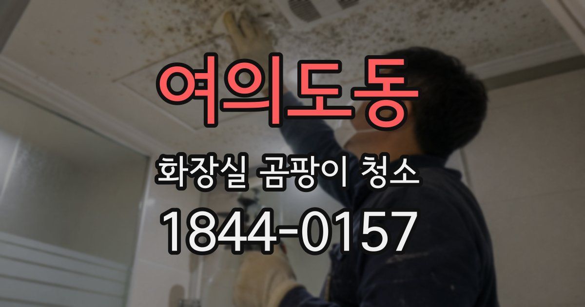 여의도동 화장실 곰팡이 청소