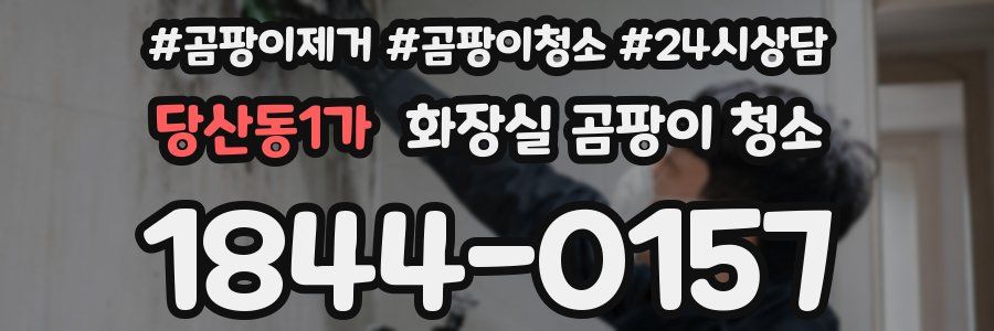 당산동1가 화장실 곰팡이 청소