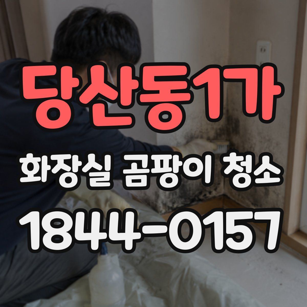당산동1가 화장실 곰팡이 청소