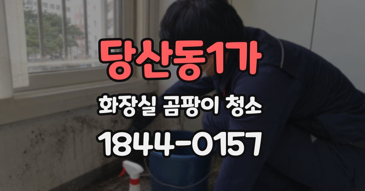 당산동1가 화장실 곰팡이 청소