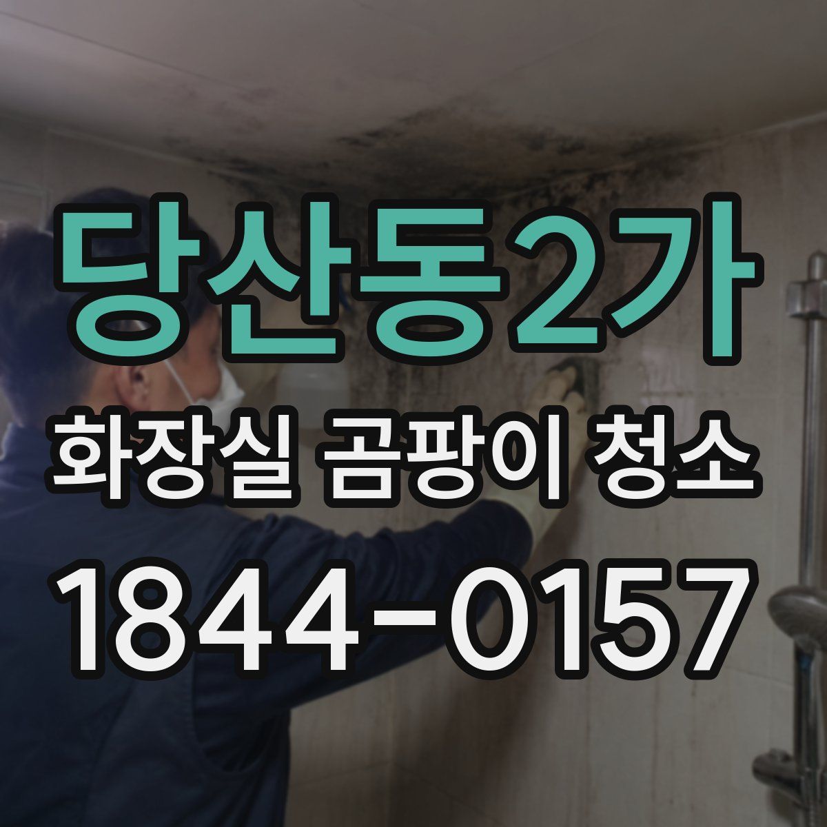 당산동2가 화장실 곰팡이 청소