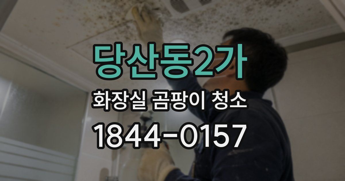 당산동2가 화장실 곰팡이 청소