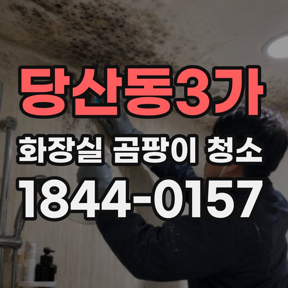 당산동3가 화장실 곰팡이 청소