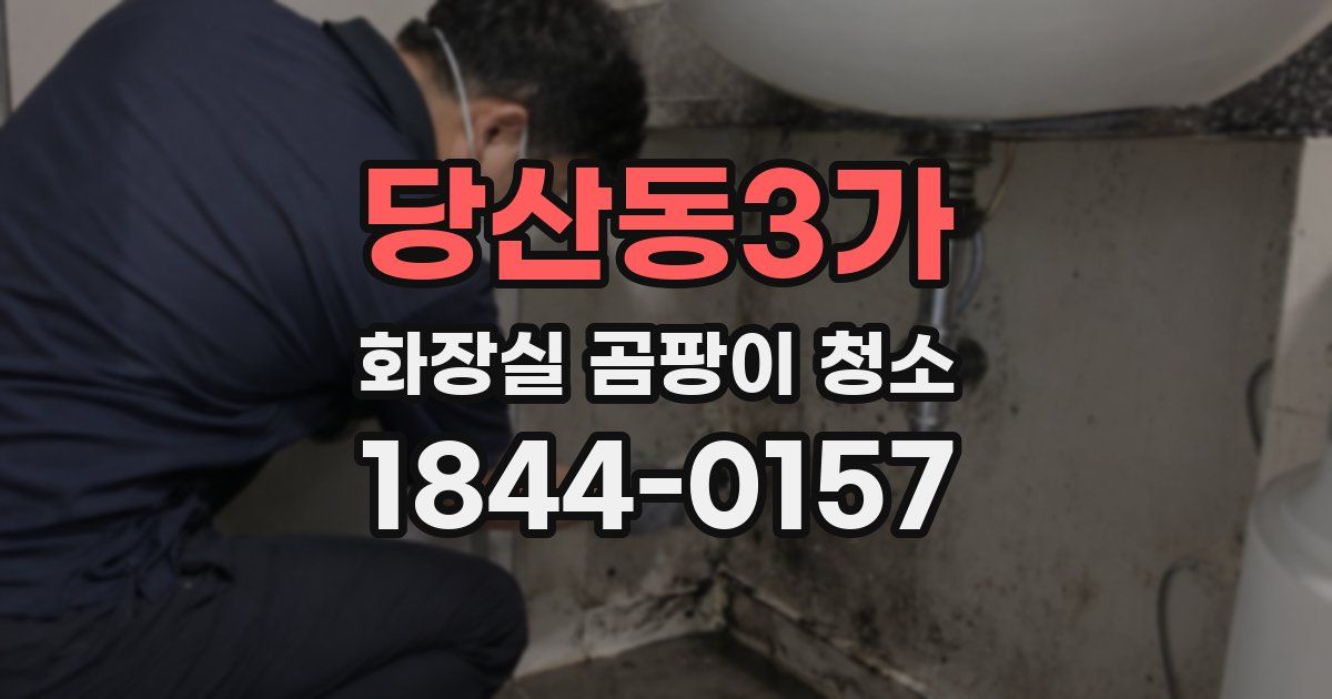 당산동3가 화장실 곰팡이 청소