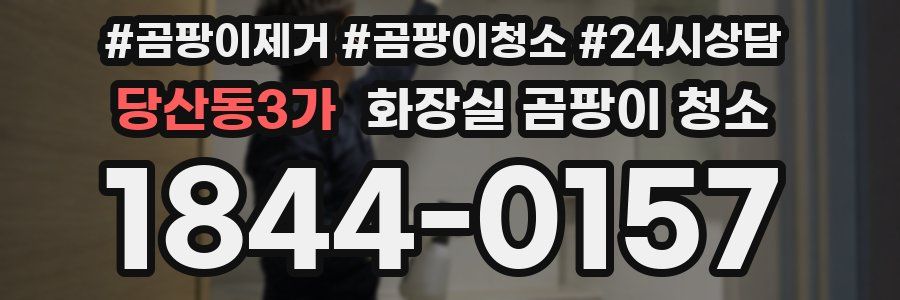 당산동3가 화장실 곰팡이 청소
