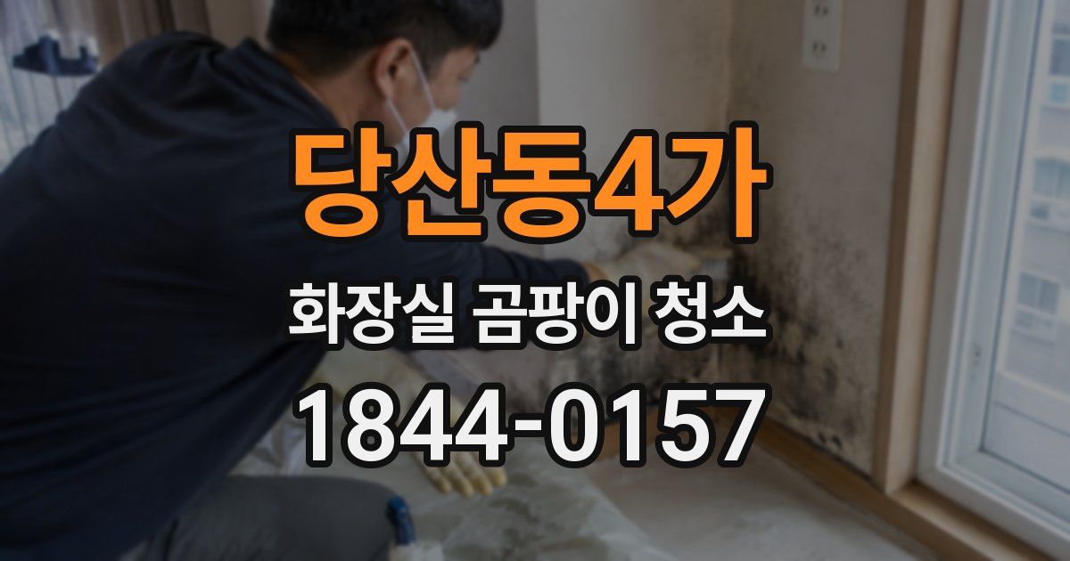 당산동4가 화장실 곰팡이 청소