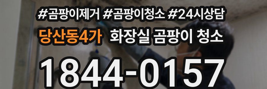 당산동4가 화장실 곰팡이 청소