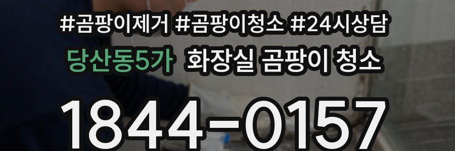 당산동5가 화장실 곰팡이 청소