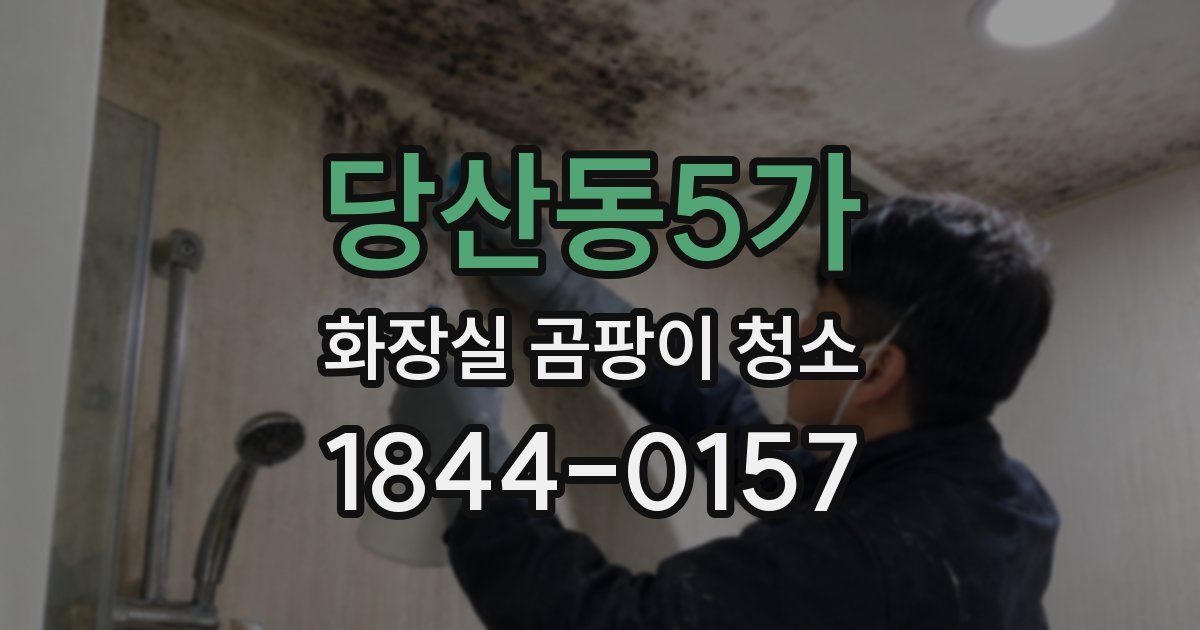 당산동5가 화장실 곰팡이 청소