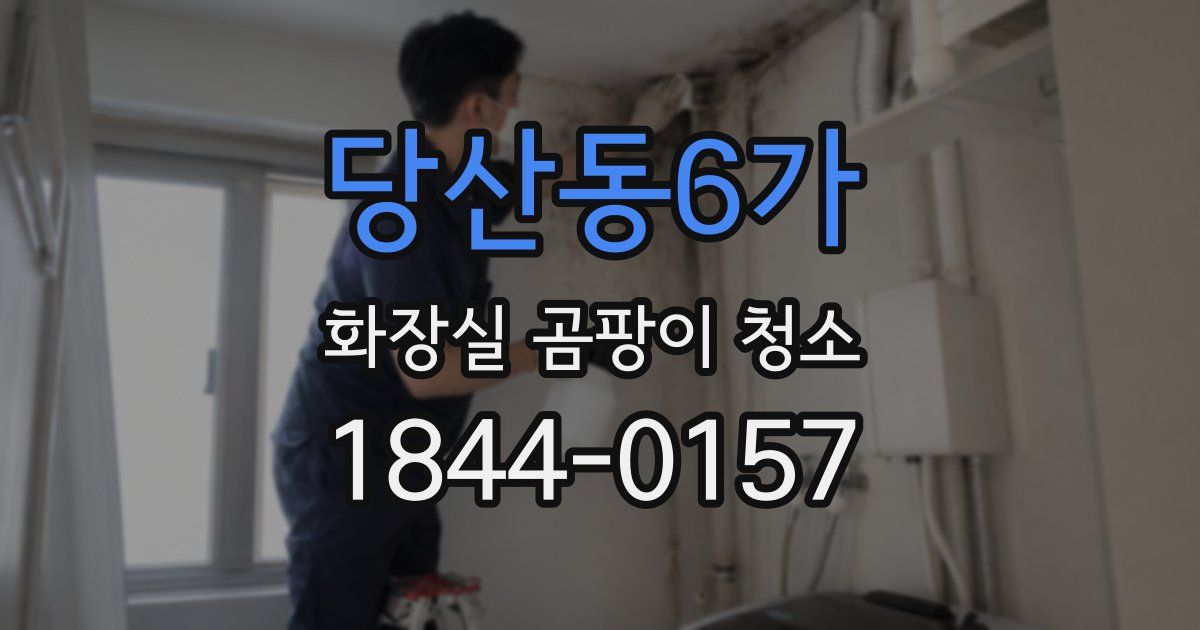 당산동6가 화장실 곰팡이 청소