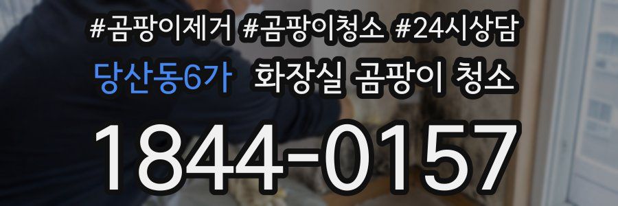 당산동6가 화장실 곰팡이 청소