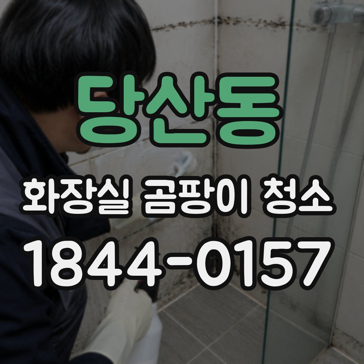 당산동 화장실 곰팡이 청소