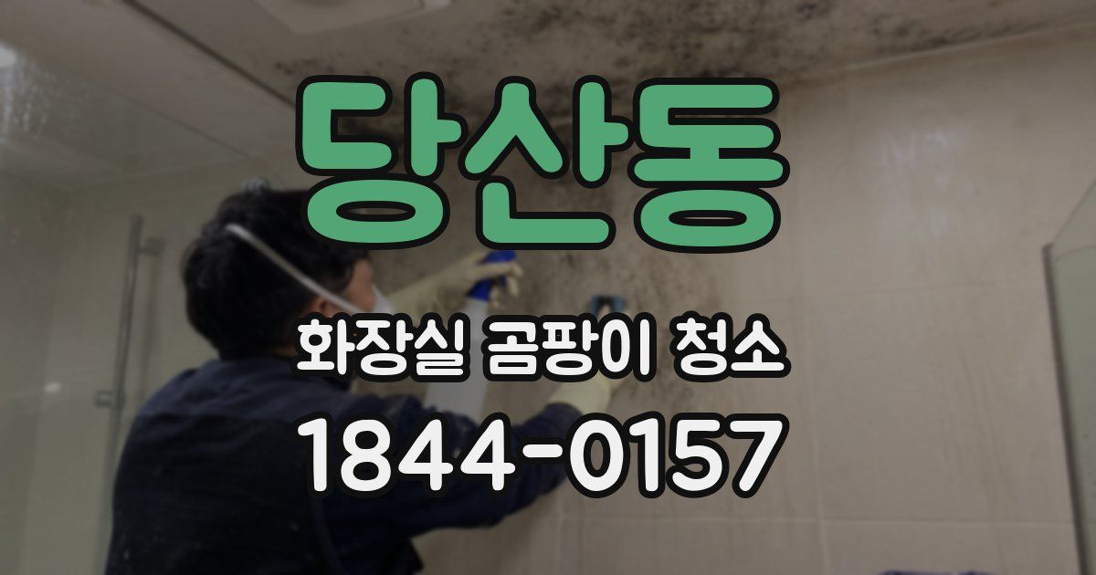 당산동 화장실 곰팡이 청소