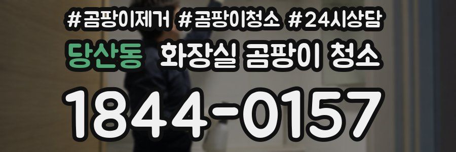 당산동 화장실 곰팡이 청소