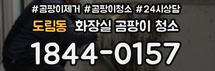 도림동 화장실 곰팡이 청소