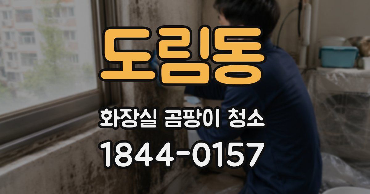 도림동 화장실 곰팡이 청소