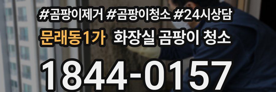 문래동1가 화장실 곰팡이 청소