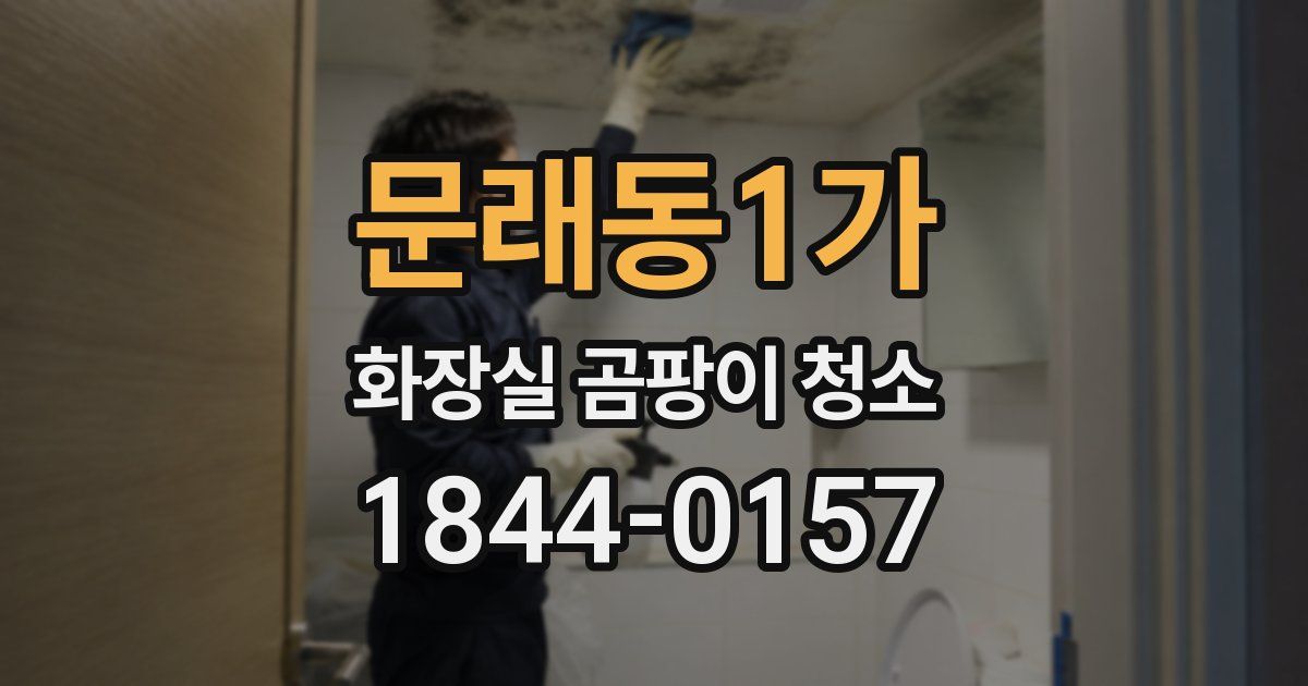 문래동1가 화장실 곰팡이 청소