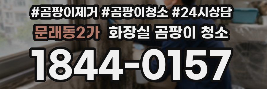 문래동2가 화장실 곰팡이 청소