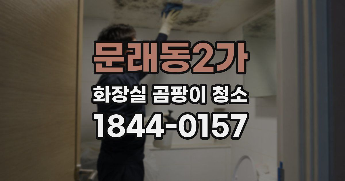 문래동2가 화장실 곰팡이 청소
