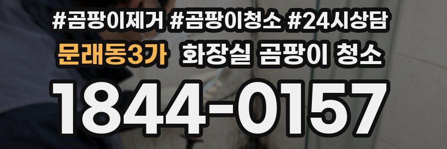 문래동3가 화장실 곰팡이 청소