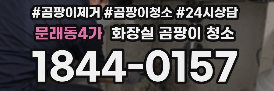 문래동4가 화장실 곰팡이 청소
