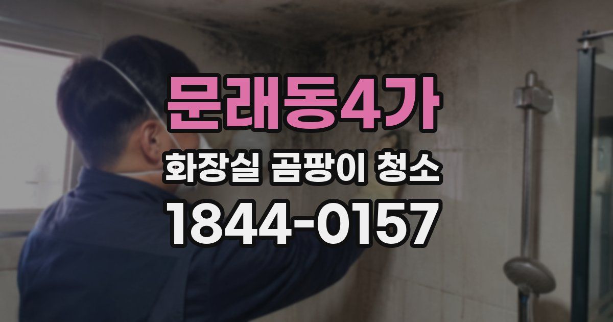 문래동4가 화장실 곰팡이 청소