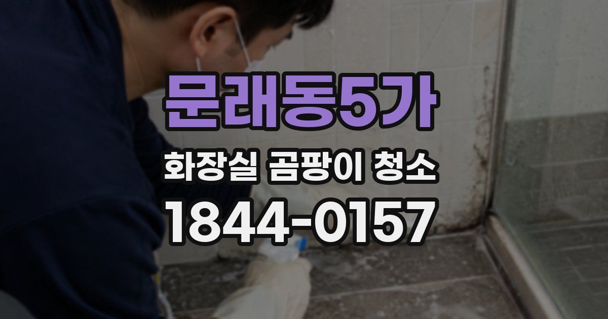 문래동5가 화장실 곰팡이 청소