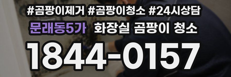 문래동5가 화장실 곰팡이 청소