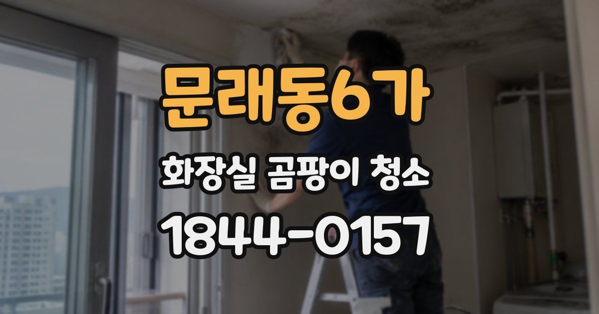 문래동6가 화장실 곰팡이 청소