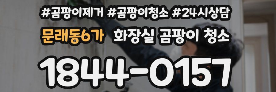 문래동6가 화장실 곰팡이 청소
