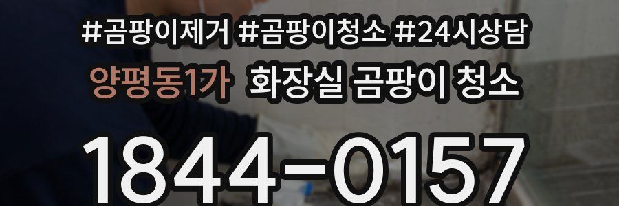 양평동1가 화장실 곰팡이 청소
