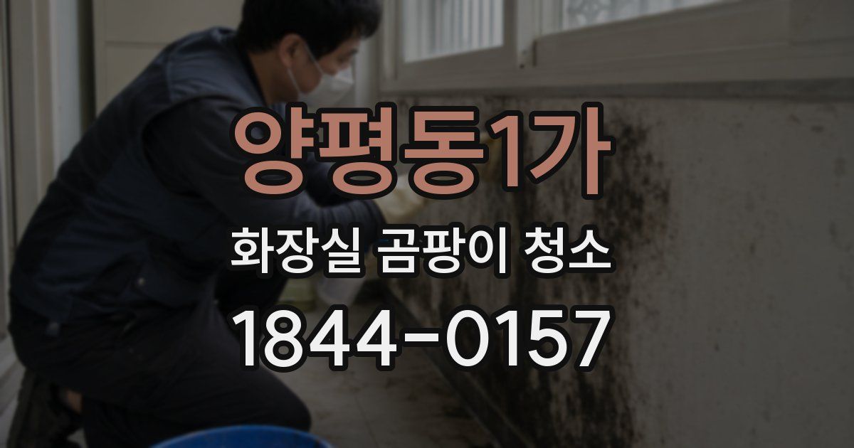 양평동1가 화장실 곰팡이 청소