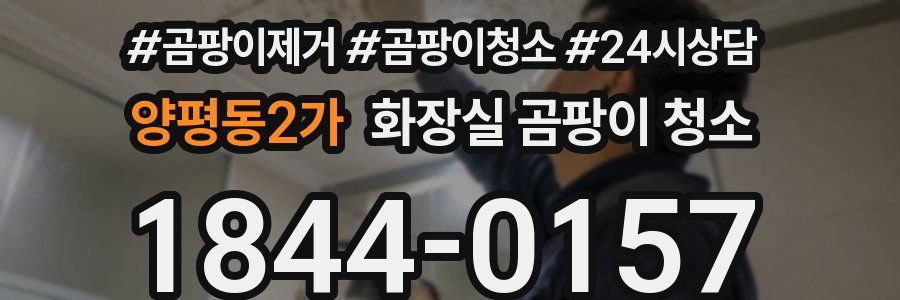 양평동2가 화장실 곰팡이 청소