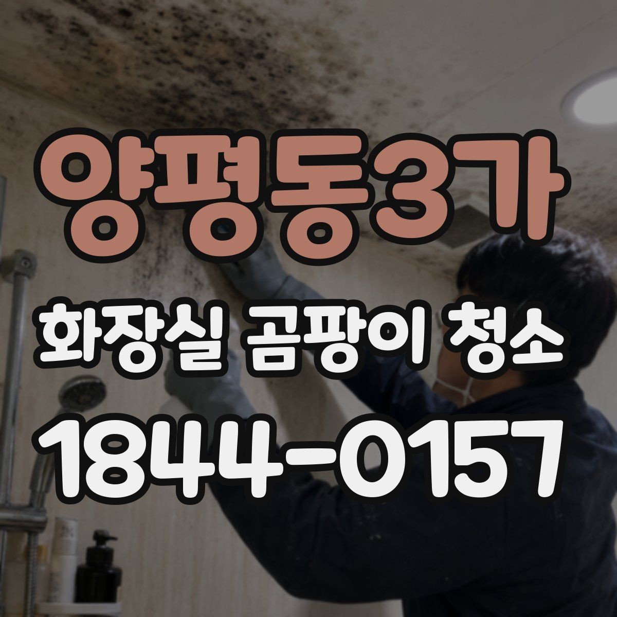 양평동3가 화장실 곰팡이 청소 환풍기 주변까지 놓치지 않는 순서