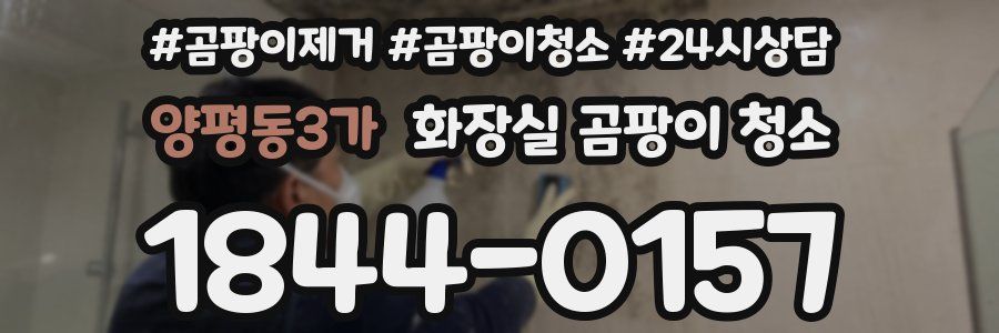 양평동3가 화장실 곰팡이 청소