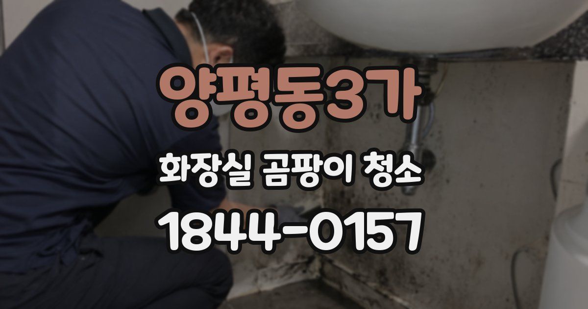 양평동3가 화장실 곰팡이 청소