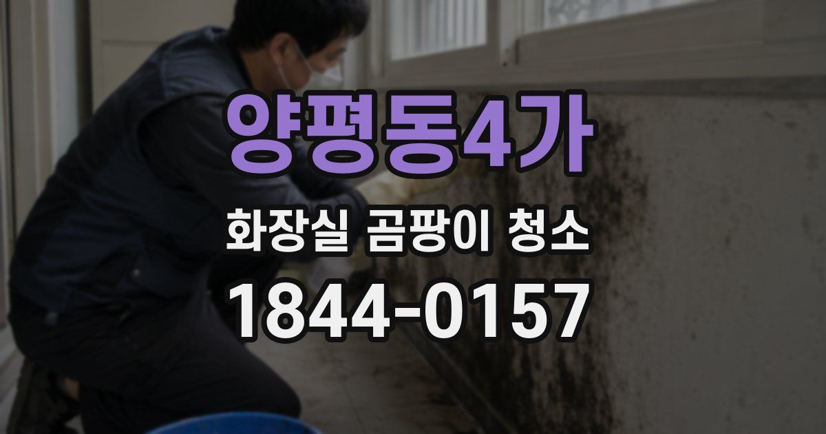 양평동4가 화장실 곰팡이 청소