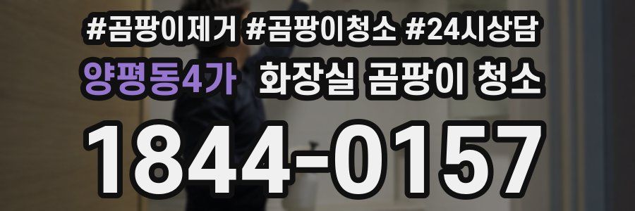 양평동4가 화장실 곰팡이 청소