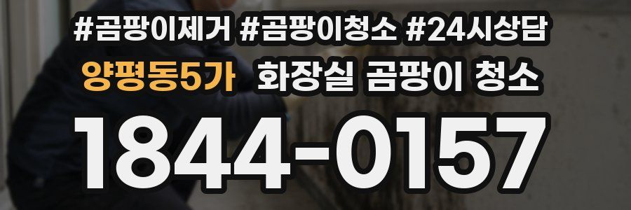 양평동5가 화장실 곰팡이 청소