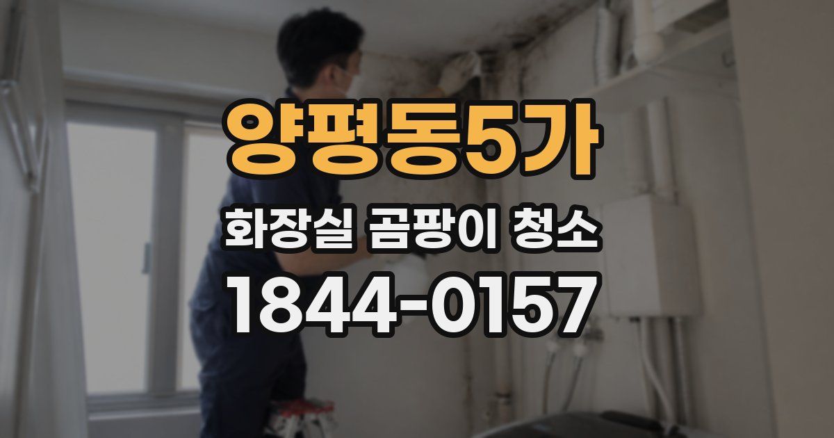 양평동5가 화장실 곰팡이 청소