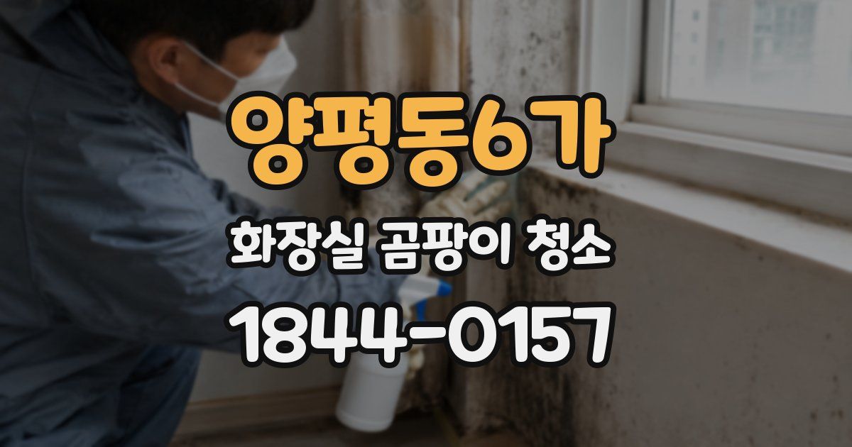 양평동6가 화장실 곰팡이 청소