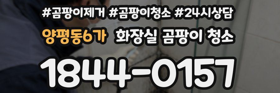 양평동6가 화장실 곰팡이 청소