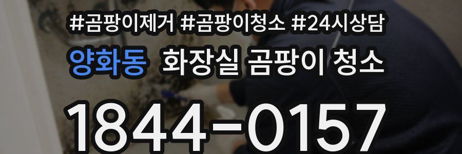 양화동 화장실 곰팡이 청소