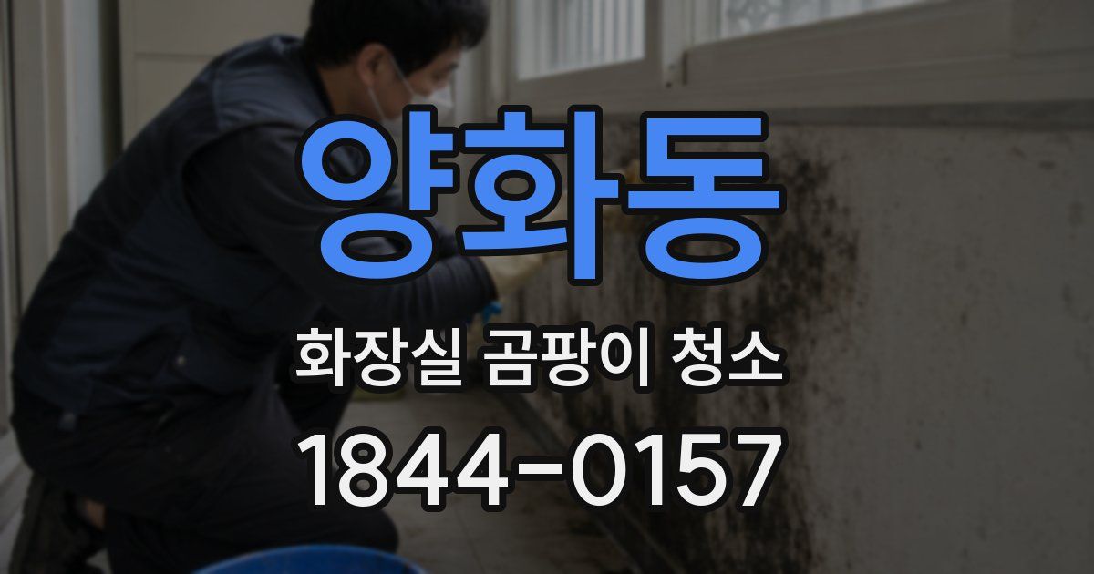 양화동 화장실 곰팡이 청소