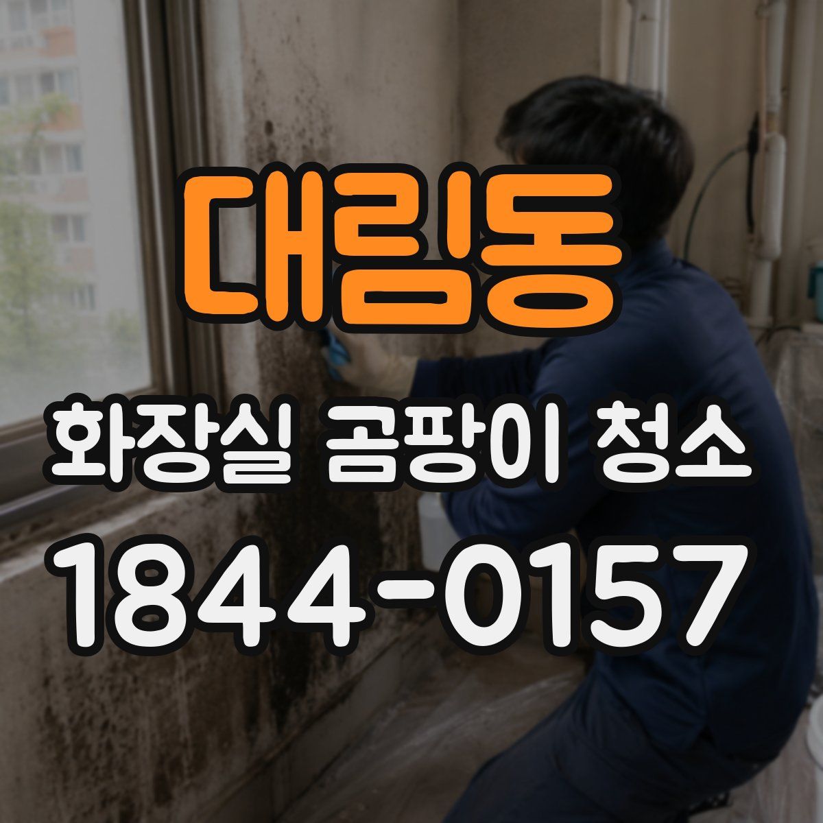 대림동 화장실 곰팡이 청소