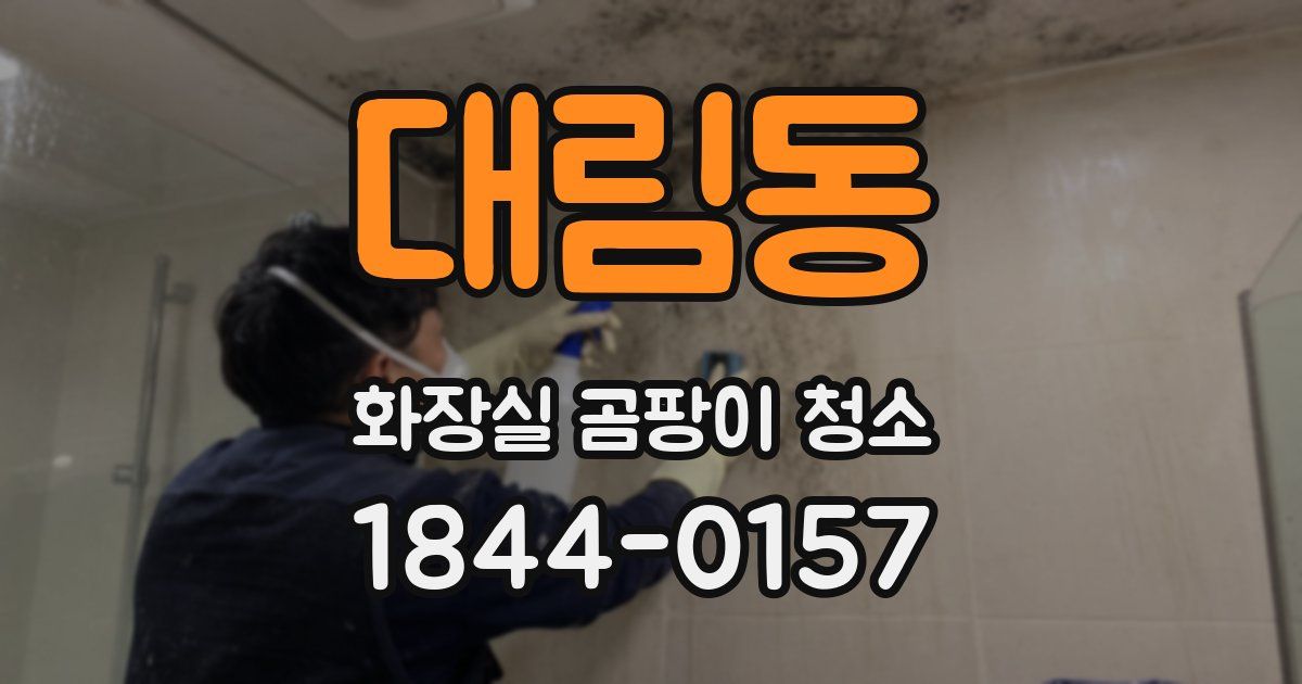 대림동 화장실 곰팡이 청소